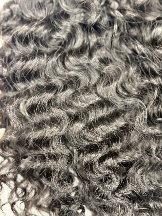 Burmese curly