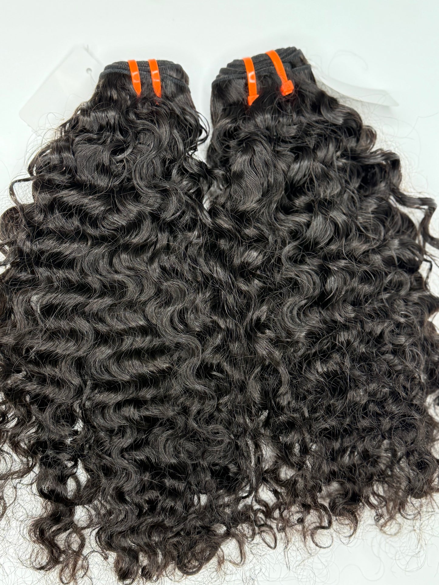 Burmese curly