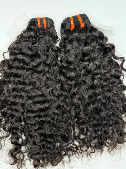 Burmese curly